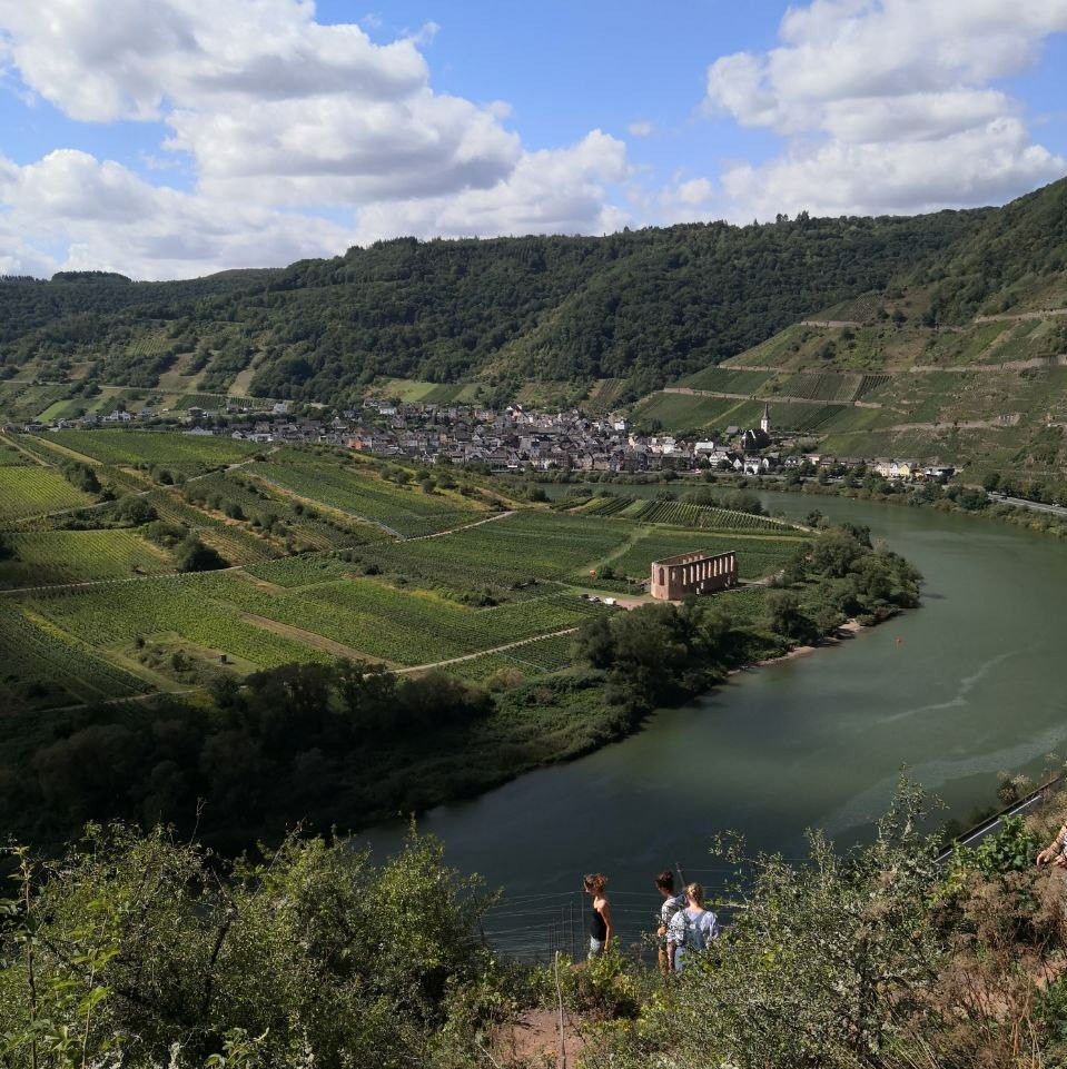 2021_02_22_Calmont MZ